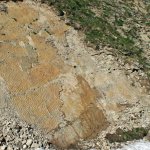 Le tracce di moto ondoso impresse sulla roccia - Foto di E. Collo